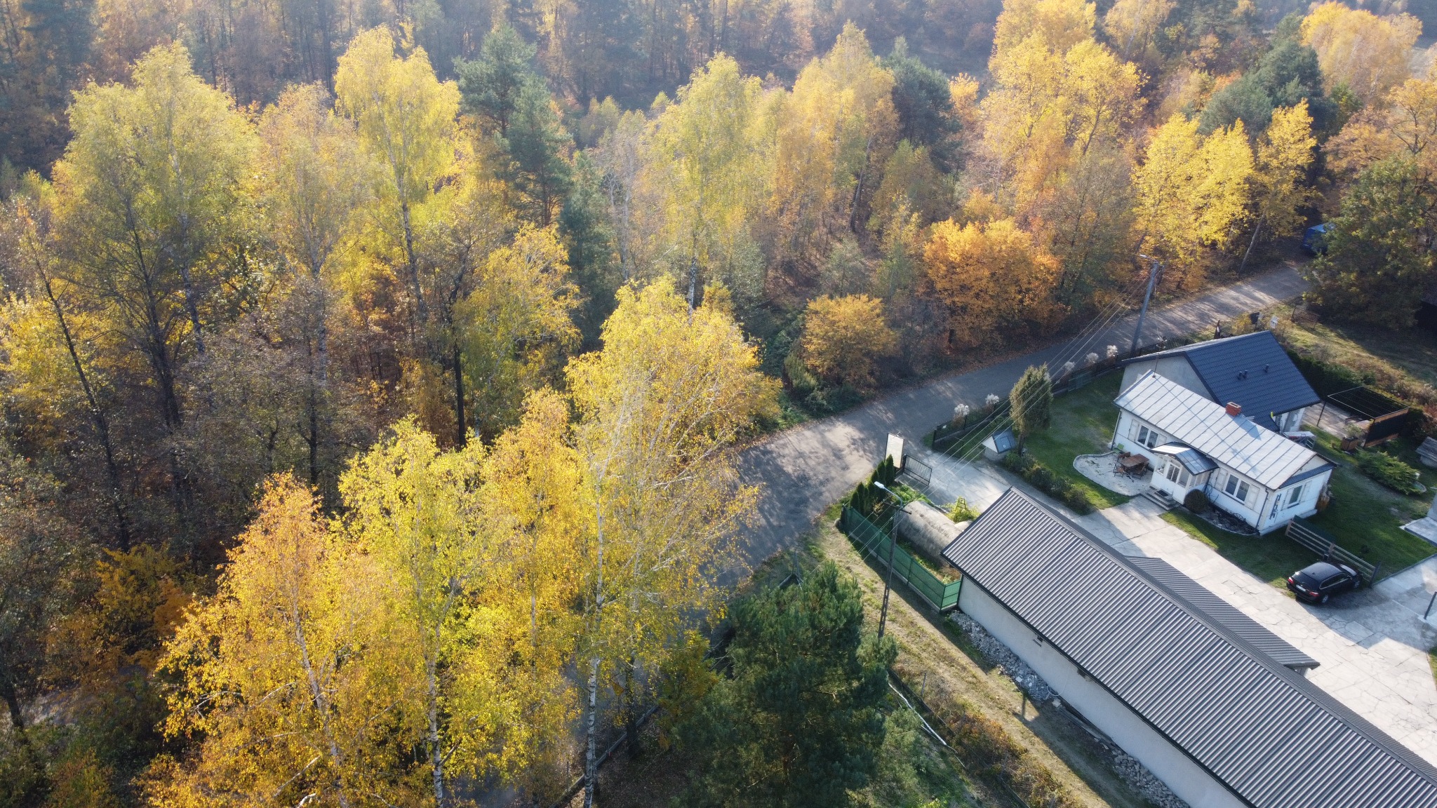 Letnia Oaza w otoczeniu lasu z lotu ptaka