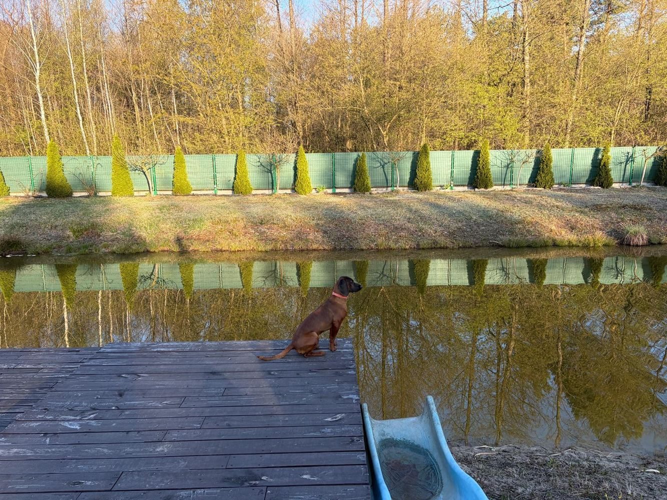 Staw z pomostem w Letniej Oazie