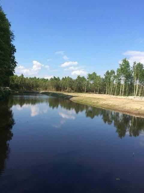 Zieleń i spokojne otoczenie obiektu